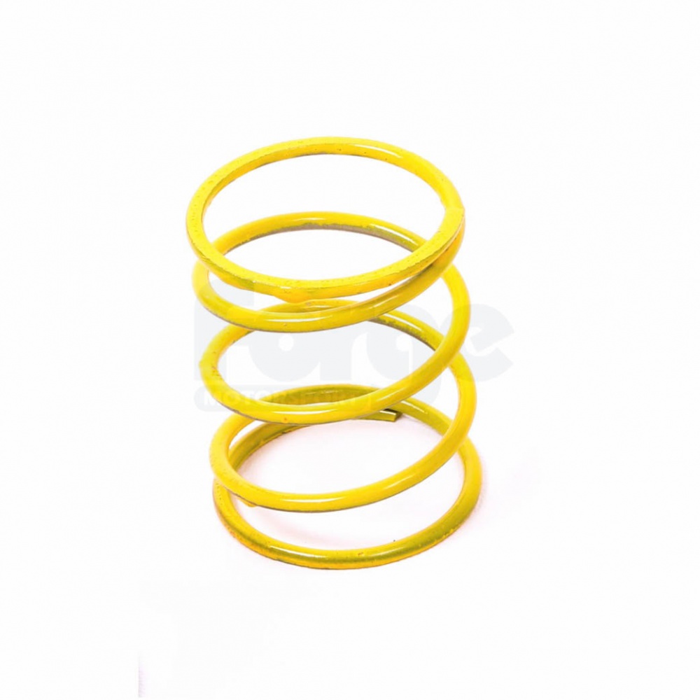 Dump Valve Spring (Single) - Image 2