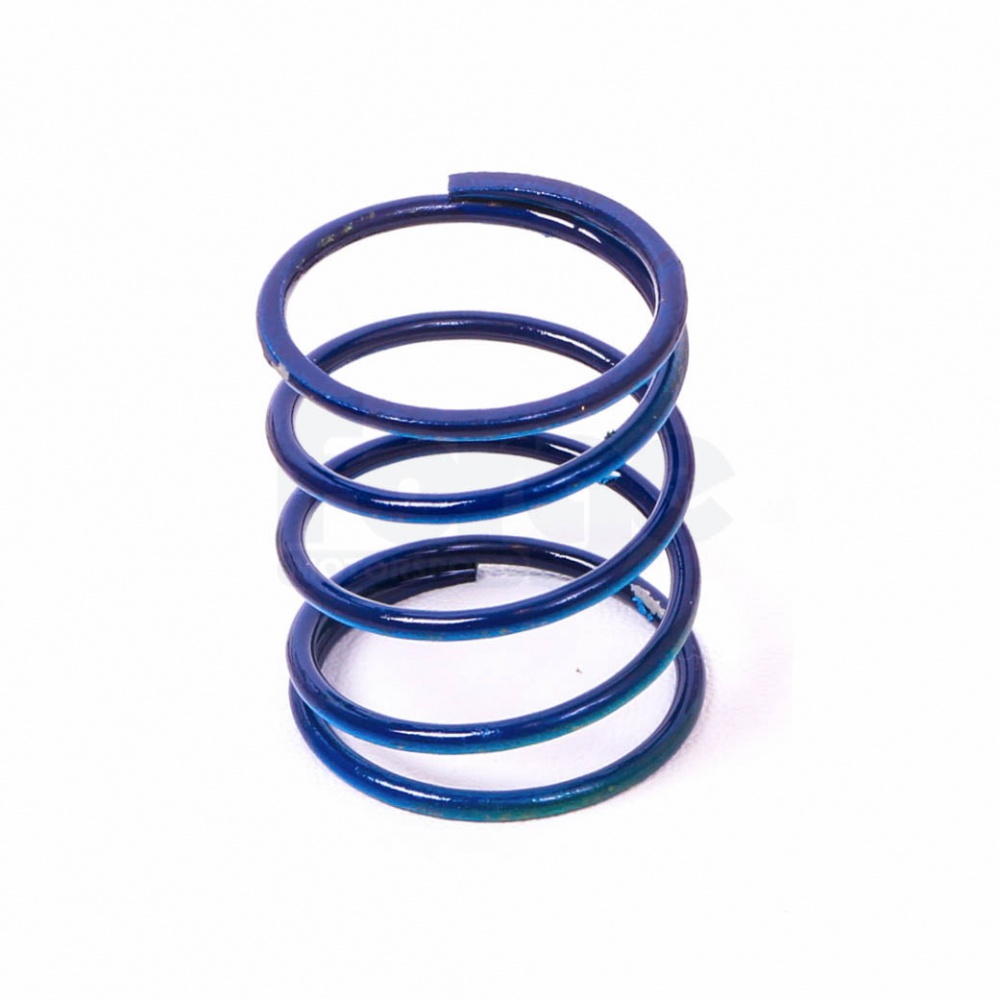 Dump Valve Spring (Single) - Image 3