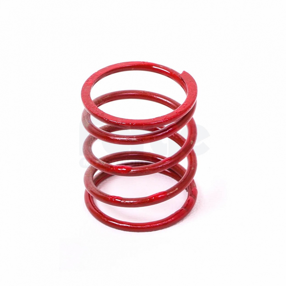 Dump Valve Spring (Single) - Image 4